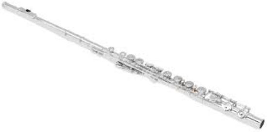 Picture of Student Flute